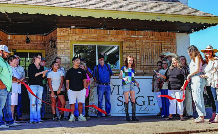 Wild Sage Salon & Boutique Blossoms in Downtown Rotan