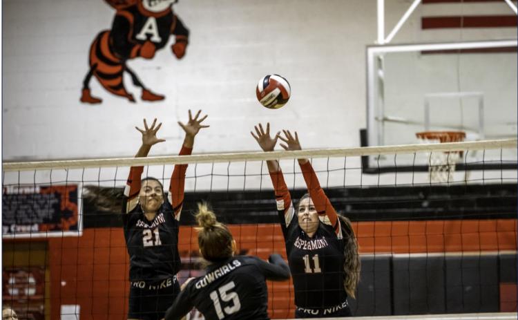 Lady Hornets Vollyball