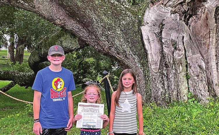 Tucker, Sadie, and Emery McWilliams are holding the DMC in front of The Friednship Oak that is 500 + year old tree on the campus of Southern Mississippi.
