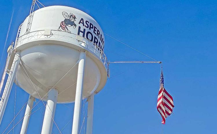 Hundreds of residents across Stonewall County met beneath the Aspermont City Water Tower on Saturday, and although the tank was empty at the time, hundreds of gallons flowed beneath as volunteers helped haul thousands of gallons of friends and neighbors. . (Photo by Everleigh Hurt -1st Grader Rotan ISD)