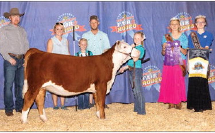 Maci Hjelmervik with her Hereford Heifer Reserve Grand Champion at the West Texas Fair and Rodeo Jr Show. Maci is the daughter of Jonathan and Nicole Hjelmervik. Her little sister Kynadi (pictured standing between her parents) also won numerous awards at this year's show.