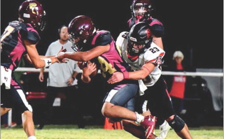 Hornets swarm Paint Creek Pirates 46-22 to finish 9-1