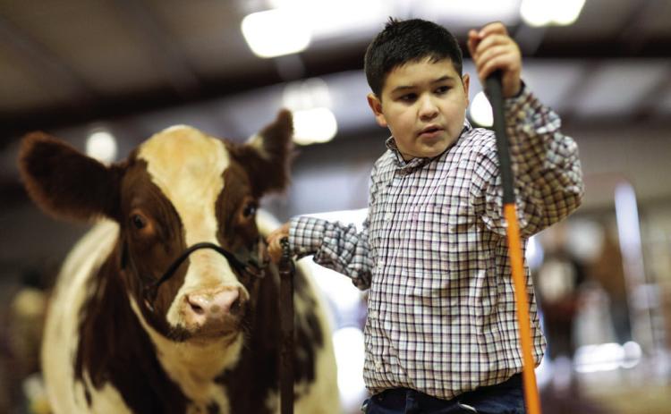 ROTAN 2024 STOCK SHOW RESULTS