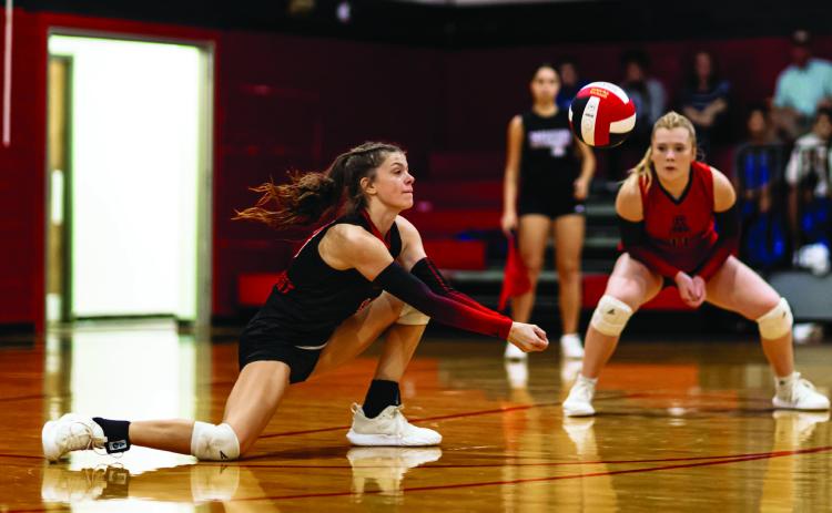 Lady Hornets fall in 4 to Childress