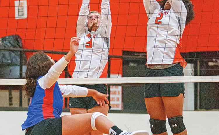 Lady Hammers fall 2-3
