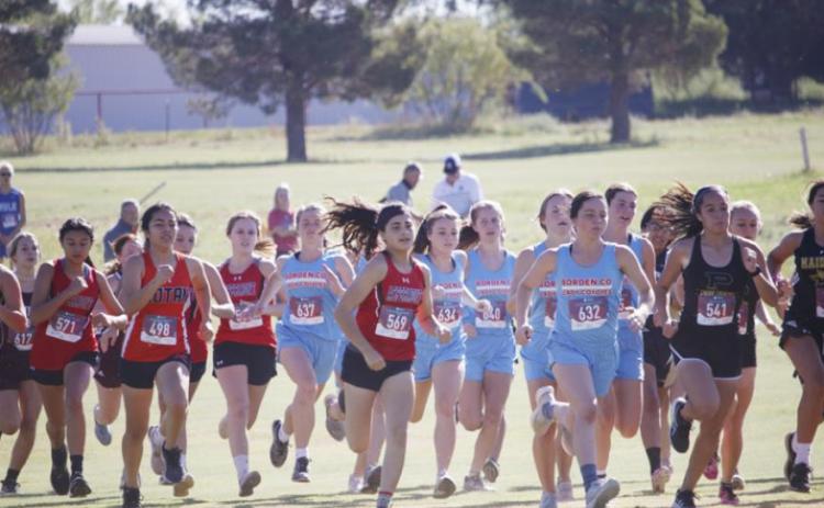 Rotan Invitational Cross Country Meet Results