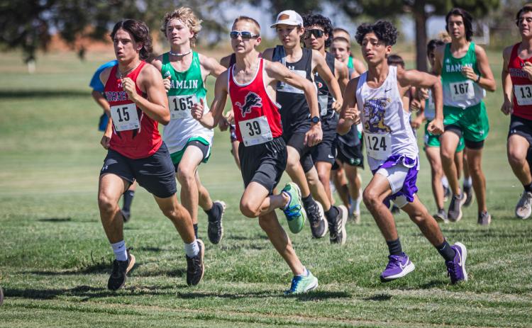 ROTAN CROSS COUNTRY INVITATIONAL