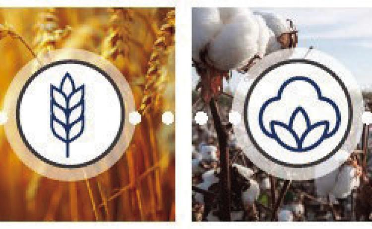 USDA Plants Seeds of Relief with $10B ECAP Program