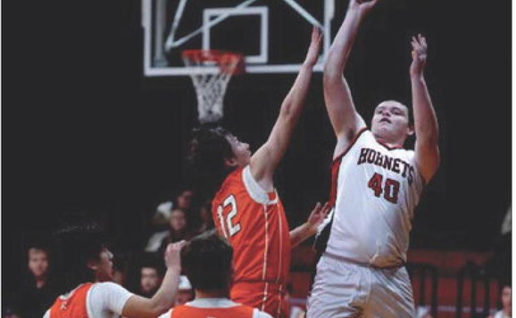 Aspermont's Austin Ingram puts up a shot over Hammer defenders during the Hornets 79-36 win over Rotan last Friday night. Photo by: Mark Martinez