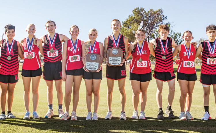 Roby Lion Cross Country take home District 15 Championships