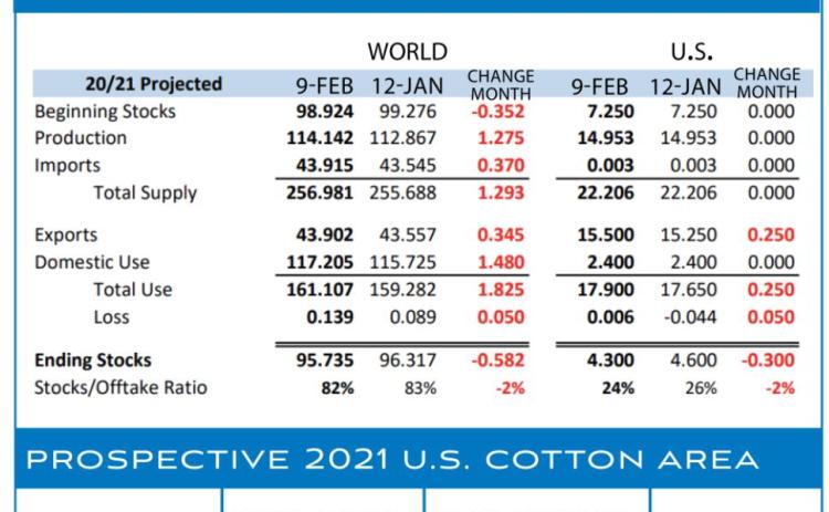 weekly market report