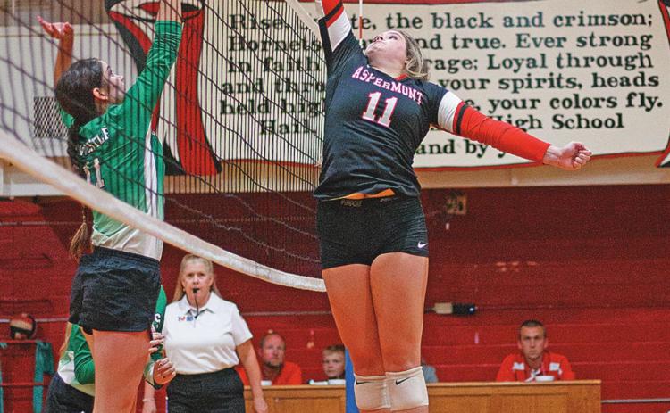 Volleyball Season Begins