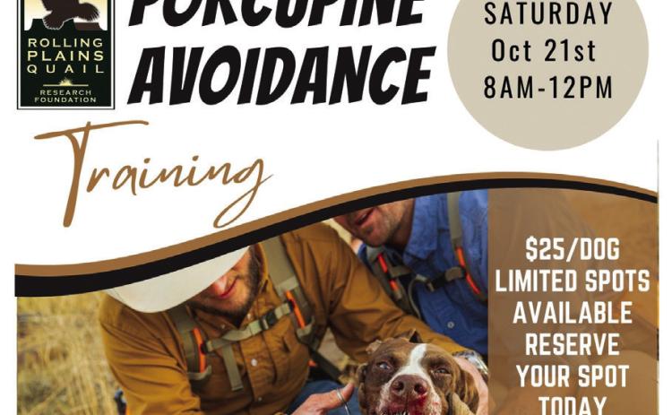 Porcupine Avoidance Training set for Saturday, October 21
