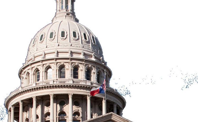 Hispanic Texans likely largest demographic group