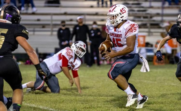 Fierce battle ends in 6 points loss for Hornets