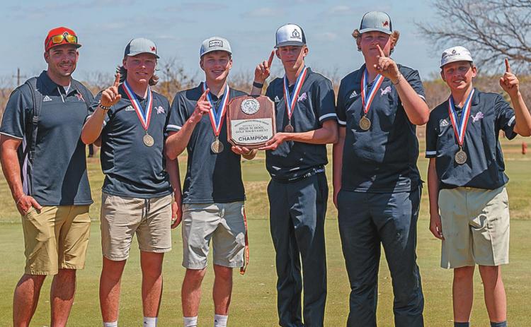 High School District Golf Winners