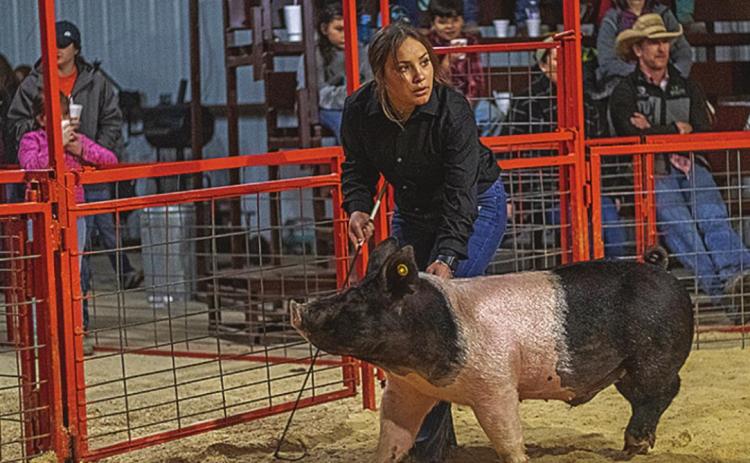 Zoe Flores was sure to keep her eyes on the judge during last year's local show.