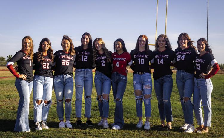 Lady Hornet Varsity Volleyball L- R: Kelly Lowack Alexus Garcia, Peyton Calamaco, Jessi Rabel, Mylee Van Meter, Leah Salazar, Tatum Polk, Shelby Martin, Georgia Fraser, Addi Shugart.