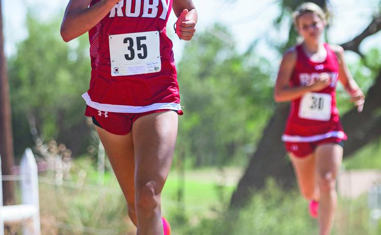 At the District XC meet in Rotan earlier last month, Lady Lion senior runner Hailee Garmer leads the pack followed close behind by fellow senior teammate Chasity Benson. Benson would eventually overtake Garmer to place 1st overall, while Garmer finished 3rd. At the Regional meet in San Angelo, Garmer would turn the tables and take 1st place overall, with Benson finishing 2nd. The team once again would clinch the Regional Championship and punch their ticket back to State. PHOTO BY MARK MARTINEZ