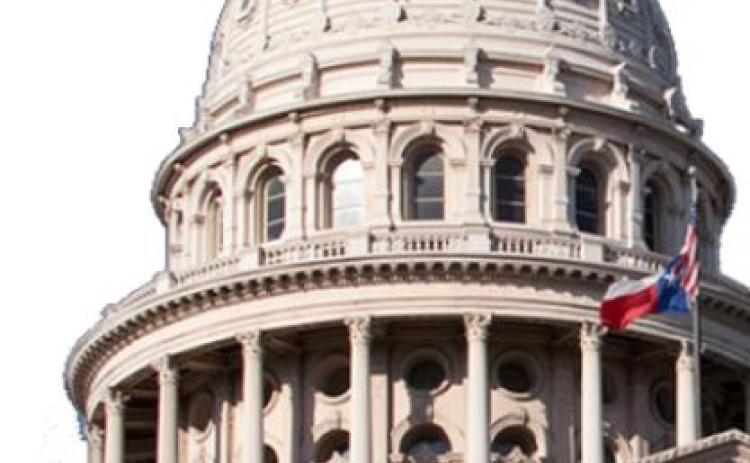 Twenty-nine new laws in effect in January