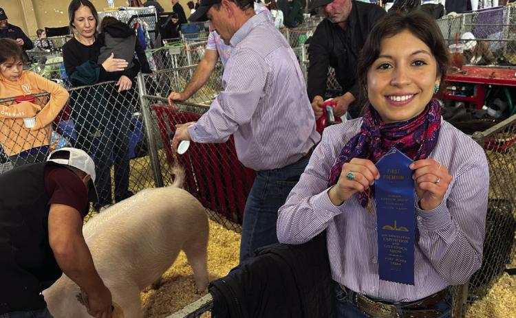 Fisher County 4-H brings home ribbons from Ft. Worth and San Angelo Stock Shows