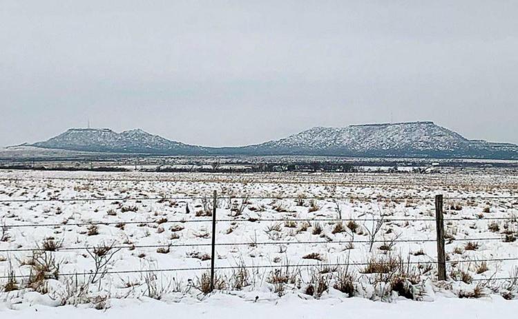 First snow-day of 2021