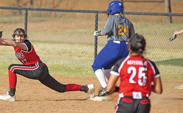 Lady Hornets defeat Trent 15-1