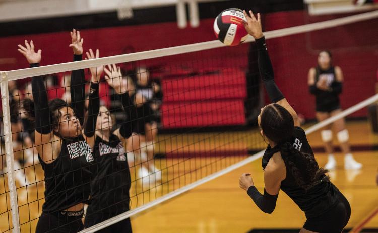 Aspermont Lady Hornet Volleyball
