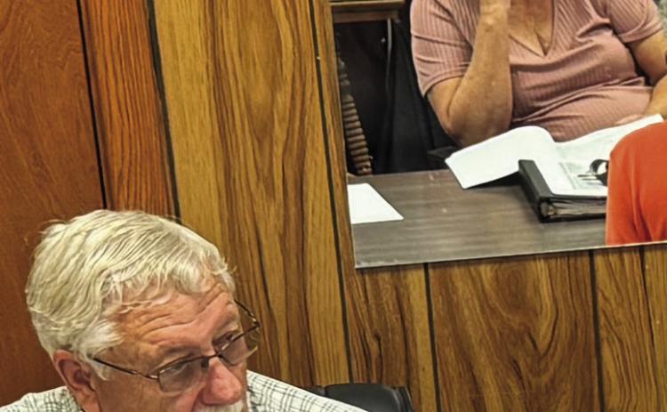 Rotan Council members Loyd Green and Joy Dennis debate whether to review the city's annual budget before casting opposing votes for its adoption.