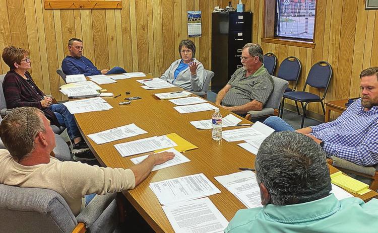 Councilwoman Marla McCoy presents arguments to her fellow council members that while establishing minimum standards for structures in the community might be difficult, the council owes it to its citizens to at least try.