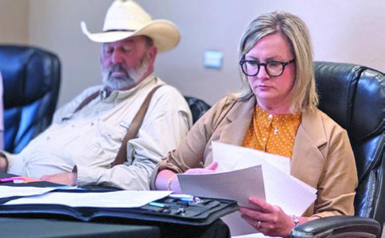FCHD Board of Directors Vice president, Sarah McLen reviews the proposed tax abatement agreement with IREN Energy ahead of its approval on July 31.