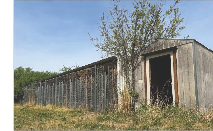 Rotan City Dog Kennels still await fence repairs in order to legally house stray animals.