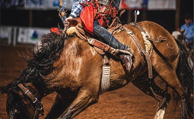 Fisher County Rodeo
