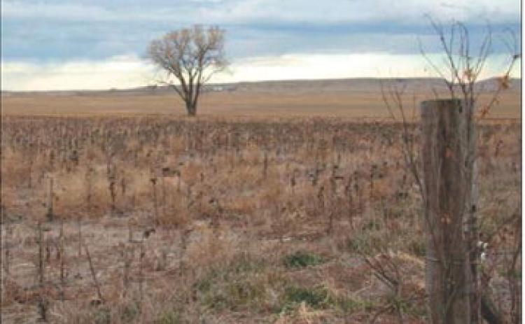 From forecasts to faucets: How fall weather impacts our water supply