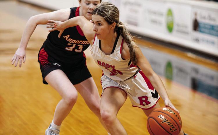 Lions swat down Hornets at home