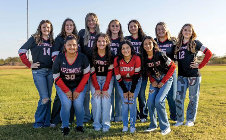Top Row: L-R:Micah Hagins, Georgia Seaton, Aubrye Conoly, Valley Bradley, Sofia Malato, Kami Tate, Leah Castaneda. Bottom Row L-R: Kylie Flores, Daisy Garcia, Mariah Murguia, Drushti Bhakta. Photo by: Mark Martinez
