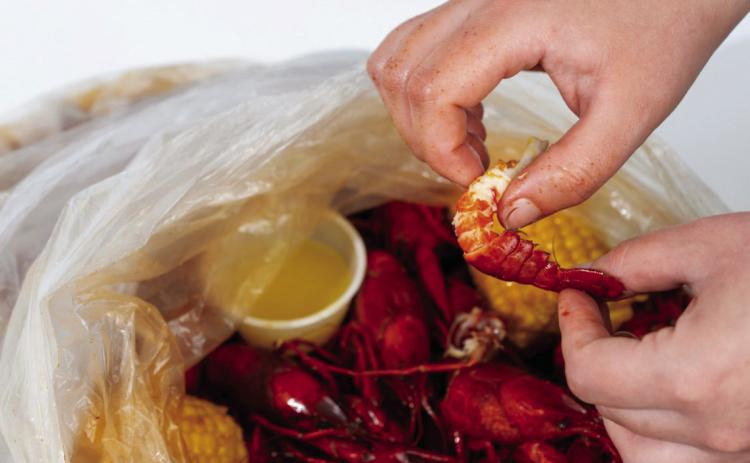The popularity of crawfish continues to boom. Texas producers are trying to keep up with demand for live crawfish for boils and restaurants. (Michael Miller/Texas A&amp;M AgriLife)