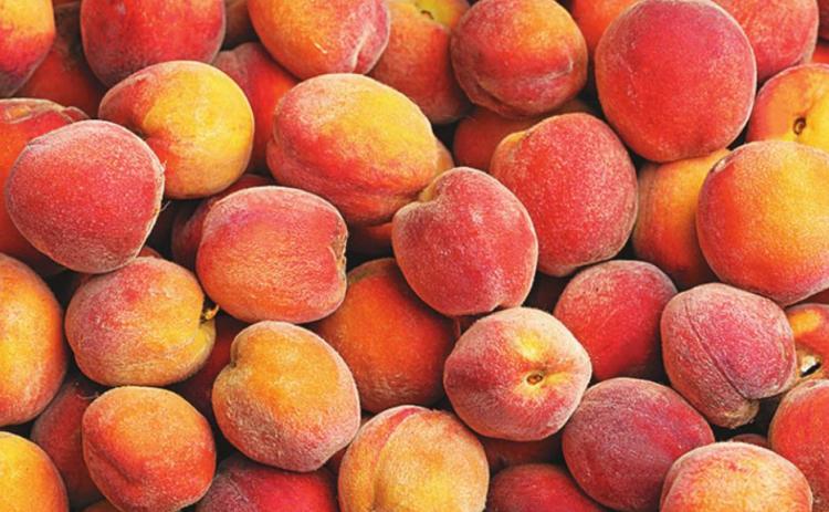Peach producers are expecting good yield and quality and high demand from consumers this season. (Stock photo)