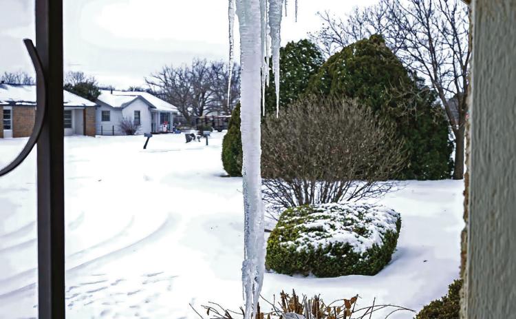 Norma Cave’s Porch Popsicle Might Win the Winter of ’26