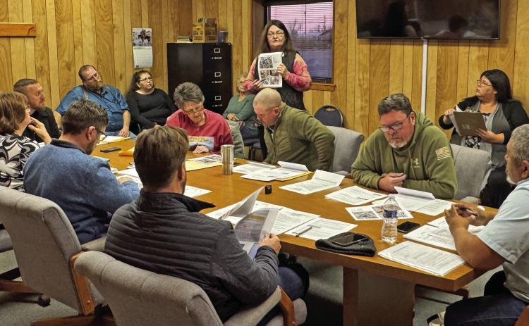 Melanie Baker Brigante, owner of several properties was on hand to inform the council about ongoing efforts to bring the properties back into compliance during Tuesday night's meeting.