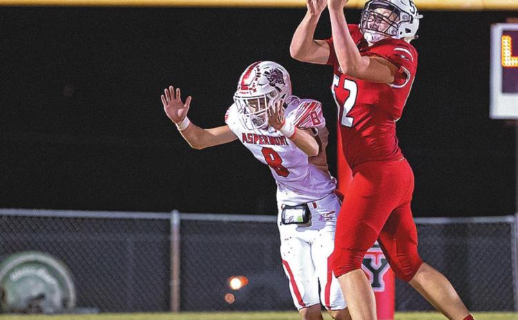 Lions dominate Hornets 62-13