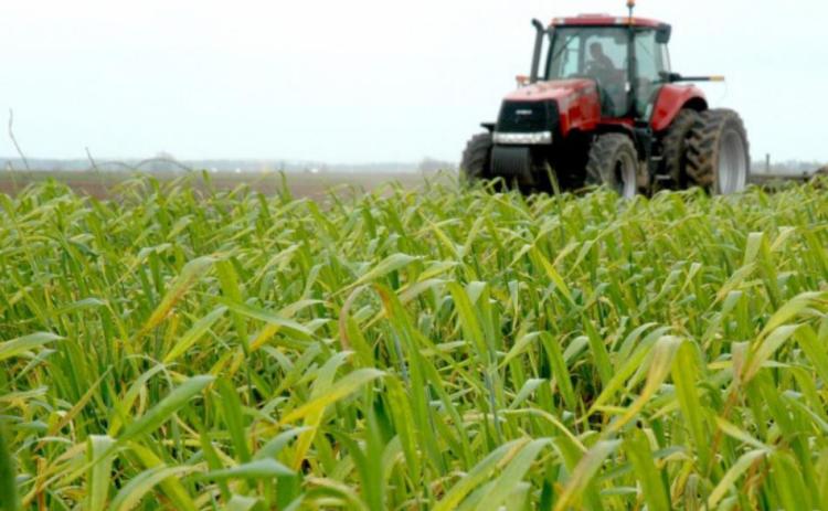 Fertilizer prices have reached record highs and a new report by the Agricultural and Food Policy Center at Texas A&amp;M University indicates they may go much higher in 2022. (Texas A&amp;M AgriLife Marketing and Communications photo by Blair Fannin)