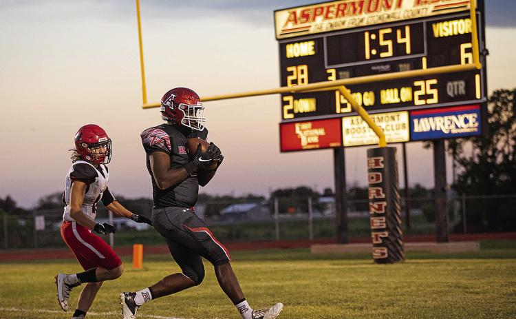 Aspermont senior Donovan Miller hauls in a pass for a touchdown.