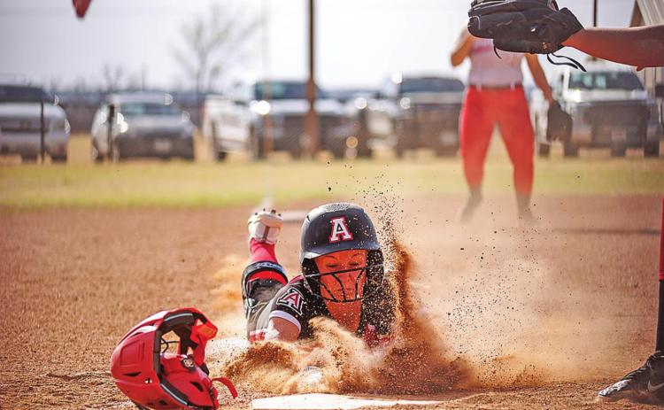 Lady Hornets rout Lady Lions; Lions defeat Hammers