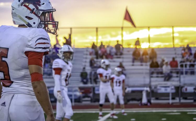 Lions Round-up the Longhorns by Half