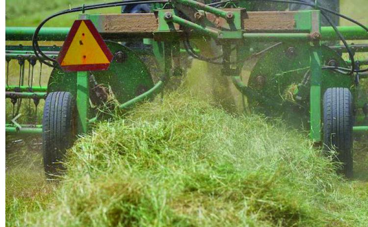 Yields look promising as baling is starting on the first crop of hay across Central and East Texas. (Michael Miller/Texas A&amp;M AgriLife)